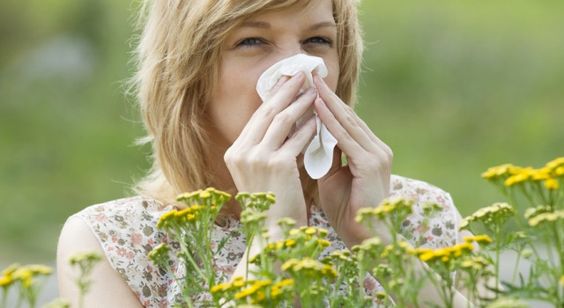 tabletki claritine na alergię